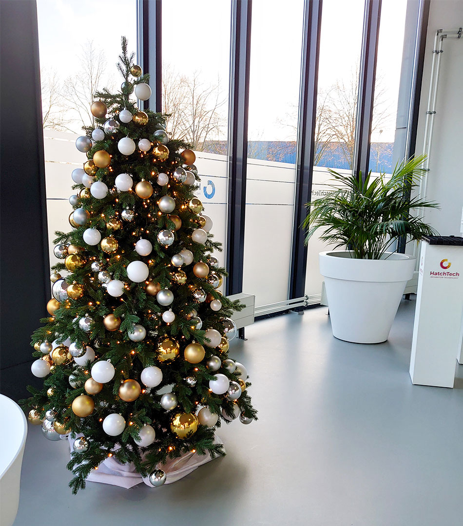 een kerstboom met de gewenste | Kerstboomhuren.nl